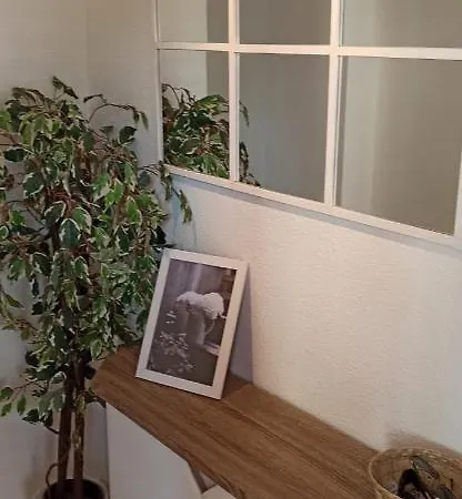 Cisne, 3-18 Appartement